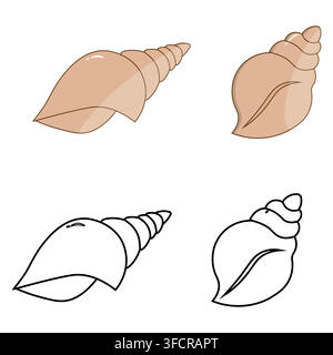 Set of spiral conch seashells in flat colored style and black outline linear art. Isolated on a white background Stock Vector