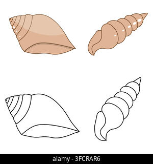 Set of spiral conch seashells in flat colored style and black outline linear art. Isolated on a white background Stock Vector