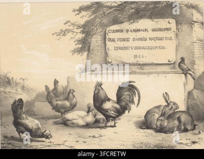 Chickens, rabbits and a pigeon, Études d'animaux, Various domesticated animals, Treize sujets d'animaux domestiques et indigènes, print, Series number, 1, 13, printmaker: Eugène Verboeckhoven, printer (person): Aubert & Cie., Paris, 1846, printer (person), paper, tone lithography, tone lithography in black with tone block in beige, height 450 mm x width 592 mm, ), doves, pigeons, rodents: rabbit., A grayscale drawing showing a group of farm animals gathered on a stone surface in front of a rough wall and a rectangular plaque mounted on it, with a leafy branch extending over the plaque; visible Stock Photo