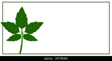 Tropical Green Leaves Background with Copy Space Natural Botanical Design Stock Vector