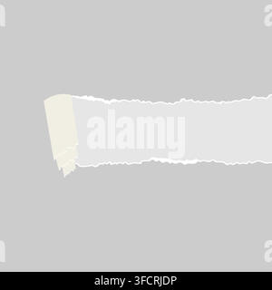 Horizontal Torn Paper Banner with Rolled Edge Vectors Illustration Stock Vector