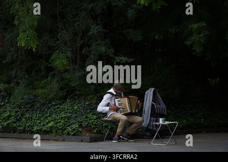 A street musician sitting on a folding stool playing an accordion outdoors in front of lush green foliage and trees, performing for passersby. Stock Photo
