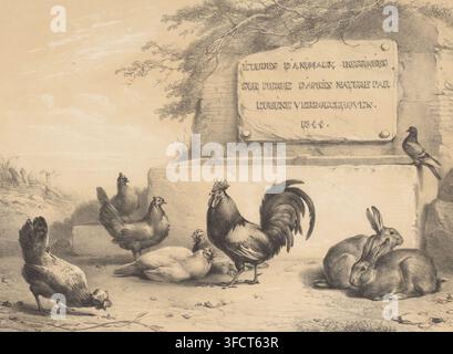 Title print with chickens, rabbits and a dove, Various animals, Études d'Animaux, print, title print, printmaker: Eugène Verboeckhoven, printer (person): Pierre Degobert, publisher: Buffa en Zonen, Frans, Amsterdam, 1844, Eugène Verboeckhoven, Pierre Degobert, Buffa en Zonen, printmaker, printer (person), publisher, paper, pencil, tone lithography, tone lithography in black with tone block in beige, with one of the chickens traced in pencil on the verso, height 485 mm x width 624 mm, ), doves, pigeons, rodents: rabbit., A pencil drawing showing a group of farm animals gathered around a stone l Stock Photo