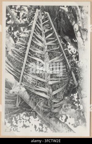 A photograph of a woven basket made from palm leaves, resting on a tree trunk, in Hieatro, Togo, by André-Louis Lepigre, a photographer, in 1964, as part of a set documenting granaries in the region. Stock Photo