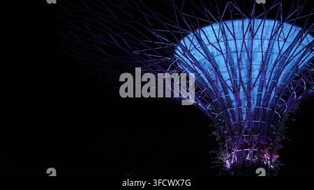 Illuminated supertree canopy with copy space at night.A wide low-angle view of a large tree-shaped architectural canopy glowing blue and purple agains Stock Photo