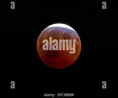 Closeup of the near total lunar eclipse on August 27, 2026 as seen from Charlotte, North Carolina. Stock Photo