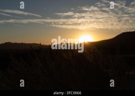 Scenic mountain landscape at sunset with golden sunlight, layered hills, silhouetted vegetation, and dramatic clouds over California. Stock Photo