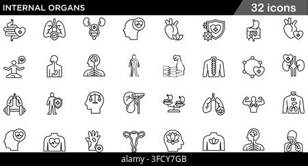 Vector illustration set of 32 internal organs icons featuring human anatomy, heart care, lungs health, digestive system, and line medical symbols. Stock Vector