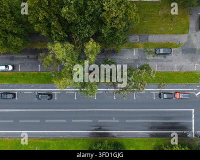 Aerial view of a large tree fallen across a road after a storm with parked cars nearby in Riga, Latvia. Stock Photo