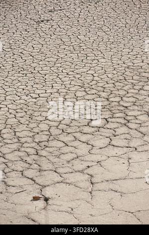 Cracked dry earth texture with a discarded glass bottle embedded in drought-parched clay soil Stock Photo