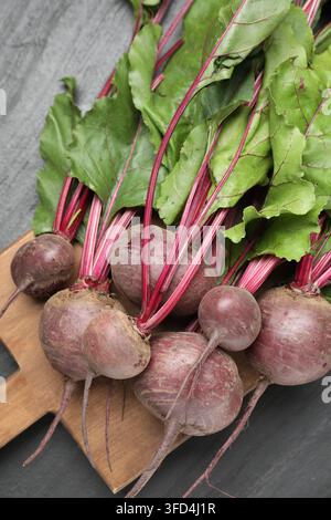 Many young beets with green leaves on dark textured table, top view Stock Photo
