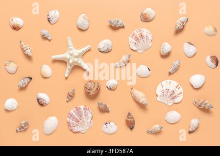 Pattern from various seashells on a pastel peach background. Beautiful summer abstract sea background. Top view, flat lay - Photomontage Stock Photo