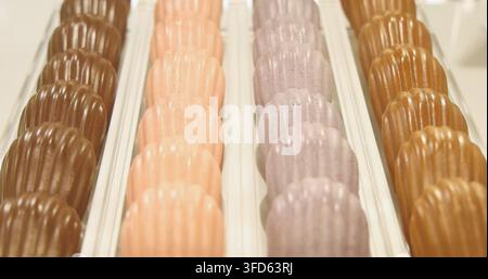 Glazed shell-shaped madeleine cakes displayed in rows on a tray, assorted flavors including chocolate and fruit, professional bakery setting, commerci Stock Photo