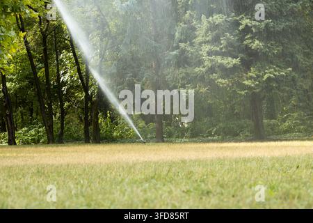 A sprinkler sprays water across a sunlit grassy meadow beside dense woodland. The scene shows irrigation, summer greenery, and a tranquil outdoor envi Stock Photo