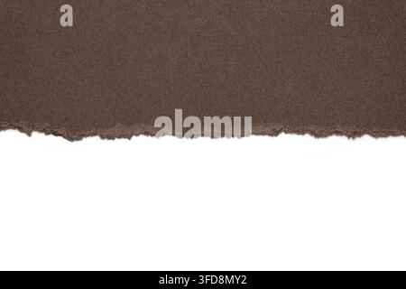 Brown textured paper with a torn edge showing white copy space below Stock Photo