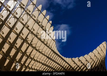 a contemporary architectural structure with a sweeping grid of curved panels set against a dark blue sky. Stock Photo