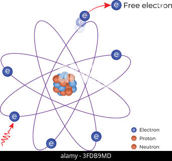 Atomic Structure with Electrons Protons Neutrons and Free Electron Illustration Stock Vector