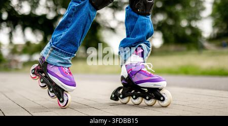 Person skates on outdoor path. Feet wear purple inline skates, blue jeans, protective knee pads. Stock Photo