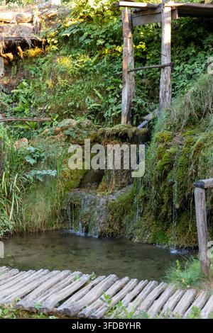 A small moss-covered waterfall flows into a clear woodland pool beside a rustic wooden footbridge and dense green vegetation. Stock Photo