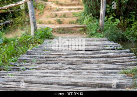 A rustic wooden walkway ascends through dense green vegetation toward a dirt path. Stock Photo