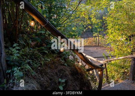 A rustic wooden stairway and railing wind through dense green foliage with small glowing lights in warm sunlight. Stock Photo