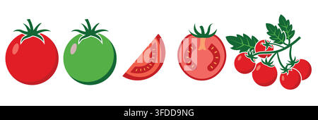 Fresh Red and Green Tomato Set with Whole, Half, Slice, and Cherry Tomatoes on Vine Vector Illustration Stock Vector