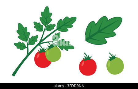 Fresh Red and Green Cherry Tomatoes on Branch Vector Illustration Set with Leaves for Food Design Stock Vector