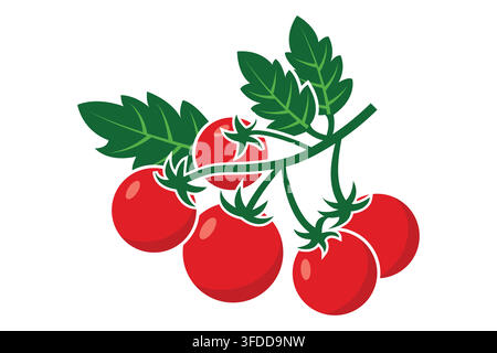 Fresh Red Cherry Tomatoes on Vine Branch with Green Leaves Vector Illustration Isolated on White Background Stock Vector