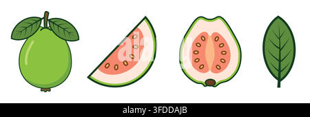Fresh Green Guava Fruit Branch Vector Illustration Isolated on White Background Stock Vector