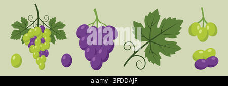 Fresh Green and Purple Grape Bunches Flat Vector Illustration Stock Vector