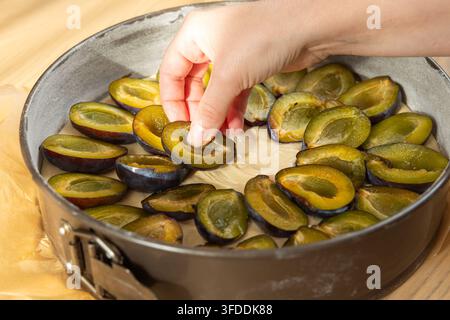 Woman hand placing fresh plum halves on raw dough in baking tin preparing plum pie Stock Photo