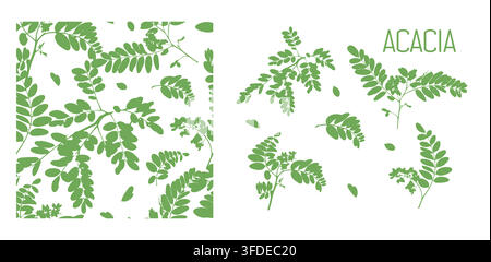 Set Acacia tree branches and leaves seamless pattern Hand drawn. Not AI, vector illustration. Stock Vector