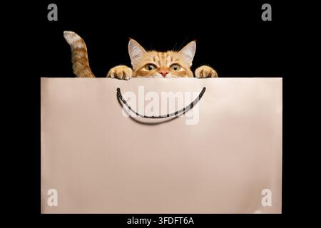 Curious ginger cat peeks over blank beige gift bag, paws resting on edge, tail curled beside handle, copy space available on bag, isolated against pla Stock Photo