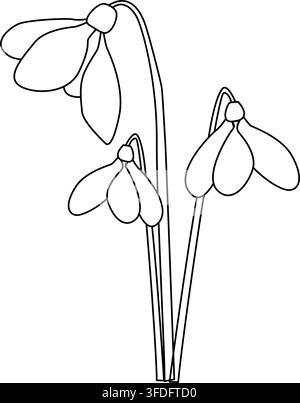 Black-and-white line drawing of three delicate snowdrop flowers with slender stems and drooping blossoms. Minimal botanical illustration perfect for Stock Vector