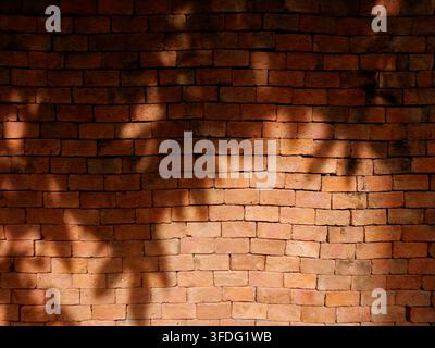 Outdoor red brick wall lit by harsh afternoon sunlight, with shadow of leaves cast on the wall. Stock Photo