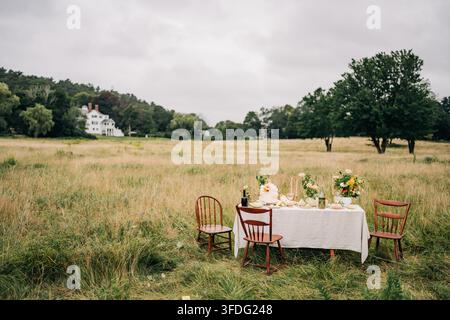 Romantic outdoor dining table set in a meadow Stock Photo