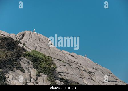 Two seagulls on a rocky outcrop against blue sky Stock Photo