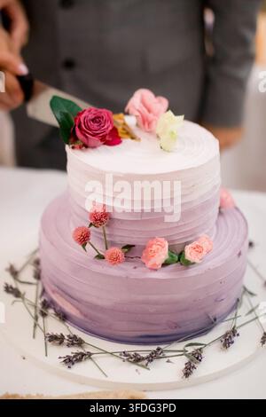Couple cutting a beautiful tiered wedding cake Stock Photo