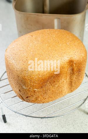 A freshly baked loaf of brown or wholemeal bread cooling on a wire rack next to a bread machine pan Stock Photo