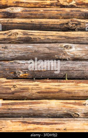 Close-up vertical shot of weathered pine timber logs stacked horizontally, showing natural knots and wood grain texture under bright sunlight. Stock Photo
