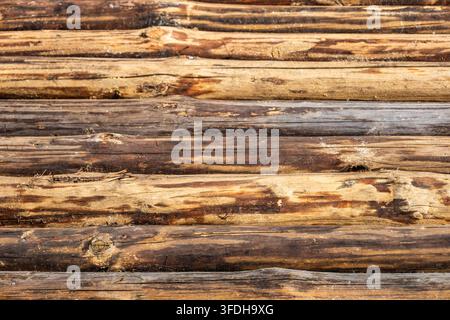 Detailed full frame view of unvarnished horizontal wooden tree logs stacked together creating a natural rustic wall texture. Stock Photo