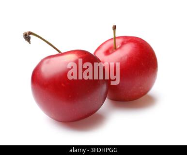 Two ripe cherry plums isolated on white Stock Photo