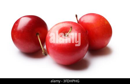 Three ripe cherry plums isolated on white Stock Photo