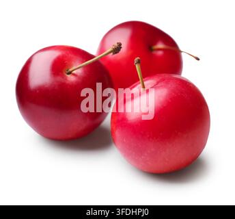 Three ripe cherry plums isolated on white Stock Photo