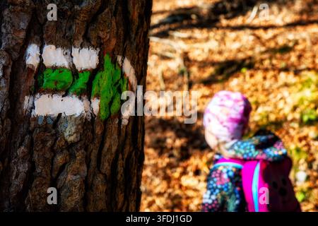 Green hiking trail marker painted on a tree trunk with a child hiker and backpack walking through a colorful autumn forest in the blurred background. Stock Photo