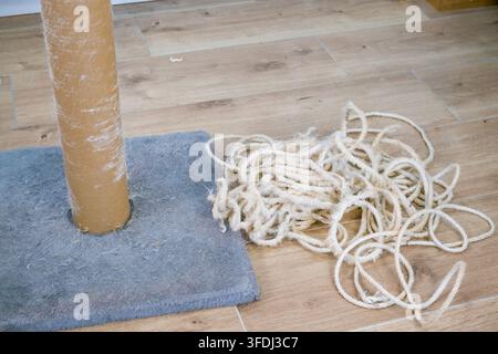 Worn cardboard scratching post with frayed old rope removed, loose replacement cord piled on a gray carpet mat over wood-look floorin Stock Photo