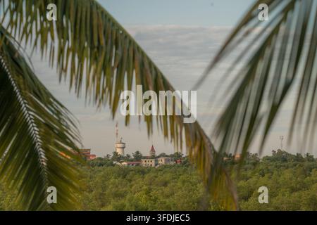 View of the town skyline featuring a water tower and a church spire framed by lush palm leaves in Morondava, Menabe, Madagascar. Stock Photo