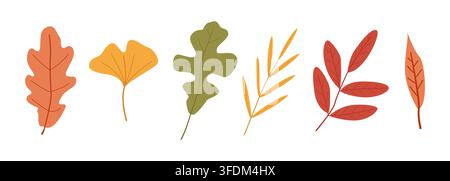 Set of six colorful autumn leaves in different shapes and shades. Seasonal botanical illustration perfect for fall design, decoration, and festive pro Stock Photo