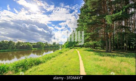 Sunlit path winds beside calm river, framed by tall pine trees Stock Photo