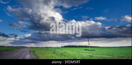 Vast green field stretches under dramatic, cloud-filled sky. Long dirt path winds through the landscape Stock Photo